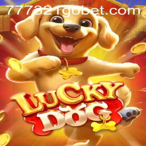 Discovering LuckyDog: A Thrilling Gaming Adventure with 321GOBET